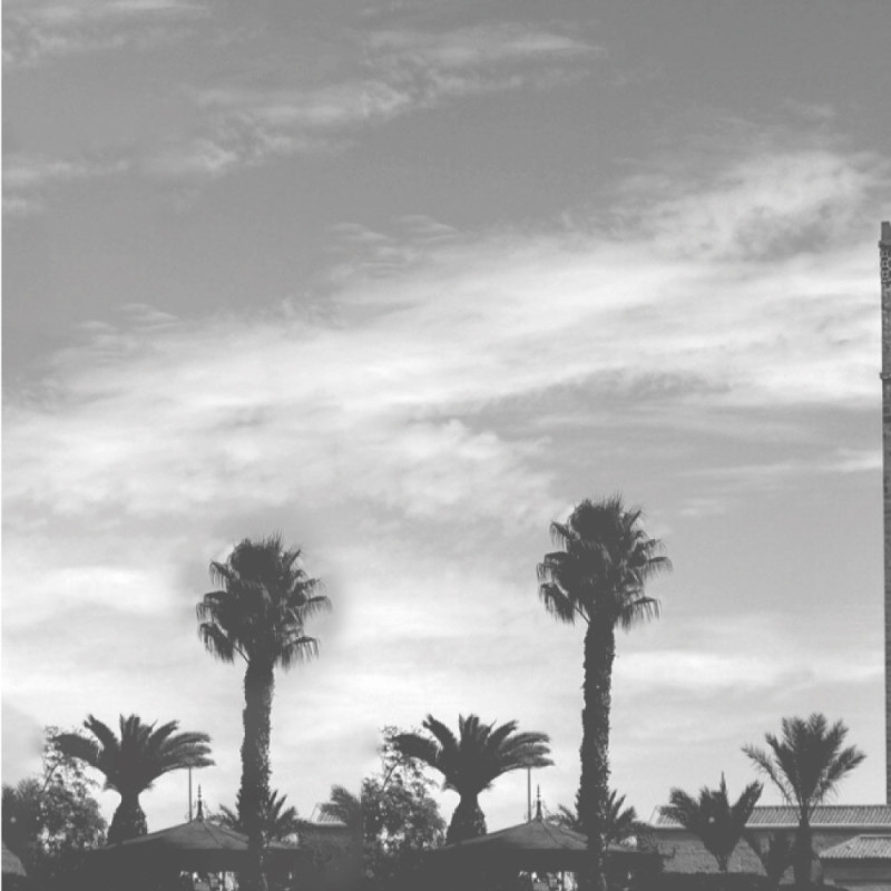 Koutoubia • Parfum d'ambiance - Botanika Marrakech